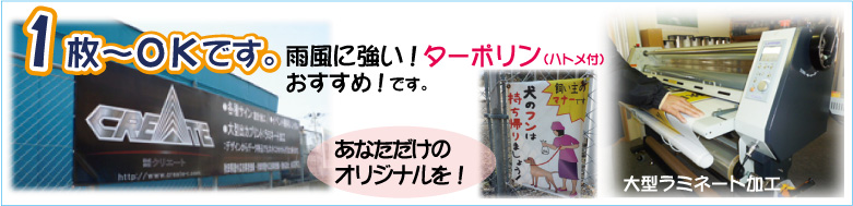 ���f���A��^���~�l�[�g